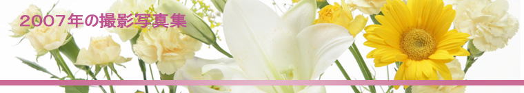 �Q�O�O�V�N�̎B�e�ʐ^�W